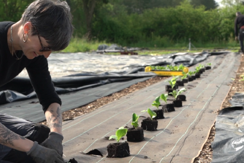 Leurs champs du cœur