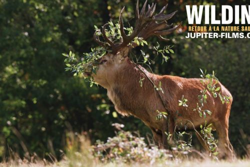 Un film peut-il changer le monde ?