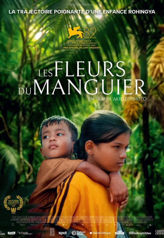 LES FLEURS DU MANGUIER