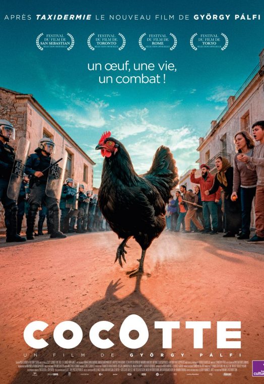COCOTTE